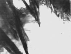 Ice crystals with sharp edges make worse slurries because they do not resist clotting in the body