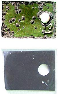 This macrophotograph compares commercial nickel-based Alloy 600 (top) and Argonne's new alloy after 5,700 hours of exposure to the same metal-dusting environment at 593°C